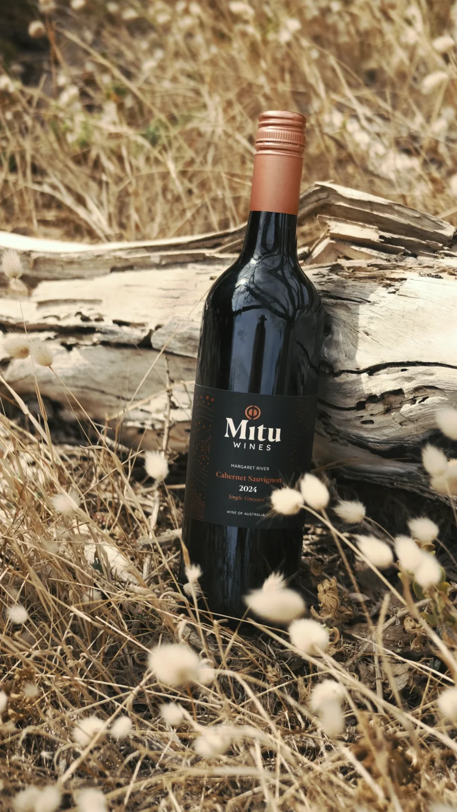 Bottle of Cavernet in a yellow grass field resting on a dry tree