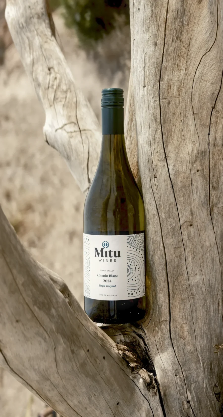 Chenin 02